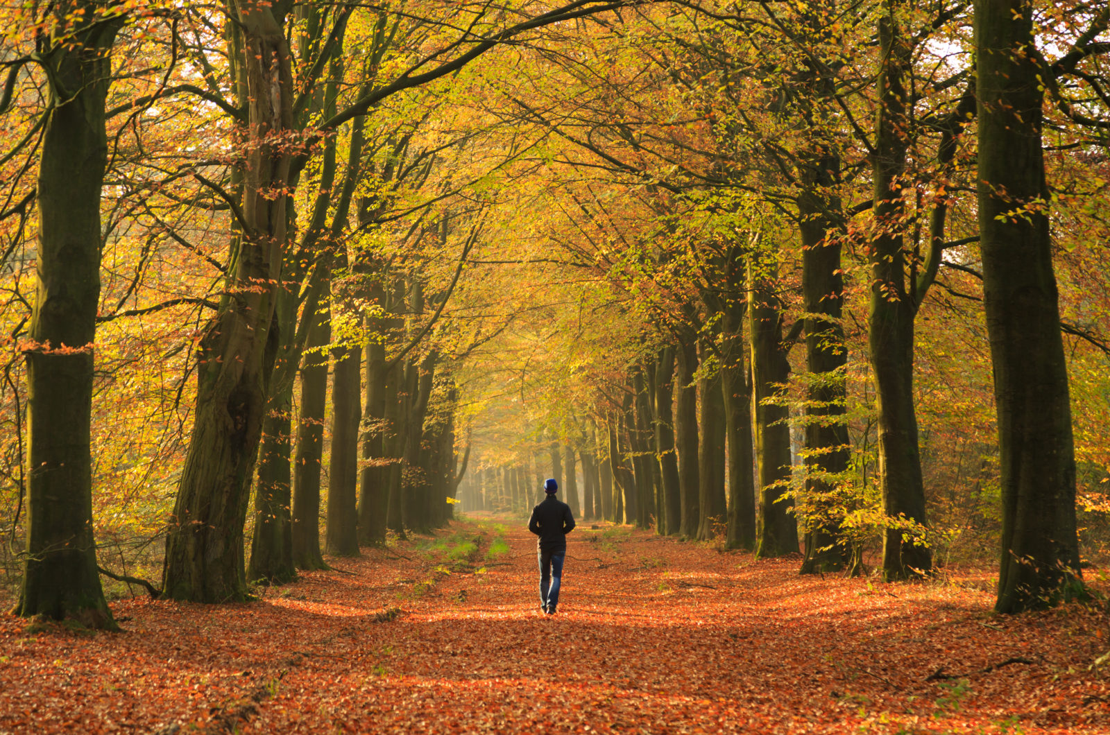 5 redenen om vaker de natuur in te gaan